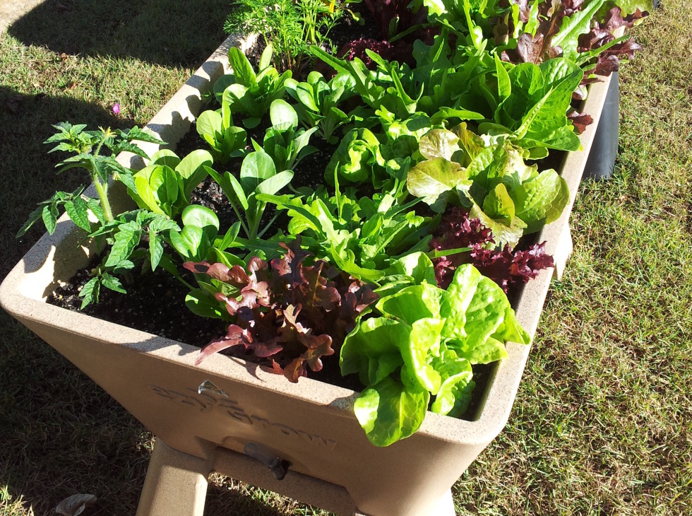 Garden Easi Planters 277