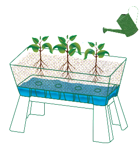 howtoPlantabox