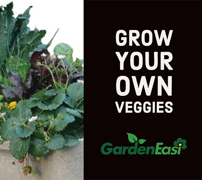 Grow Your Own Veggies