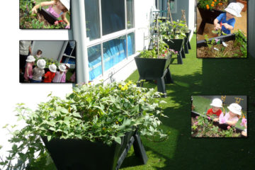 Garden-Easi-Planter-Box-Garden-Bed-Childcare-Centres-poster